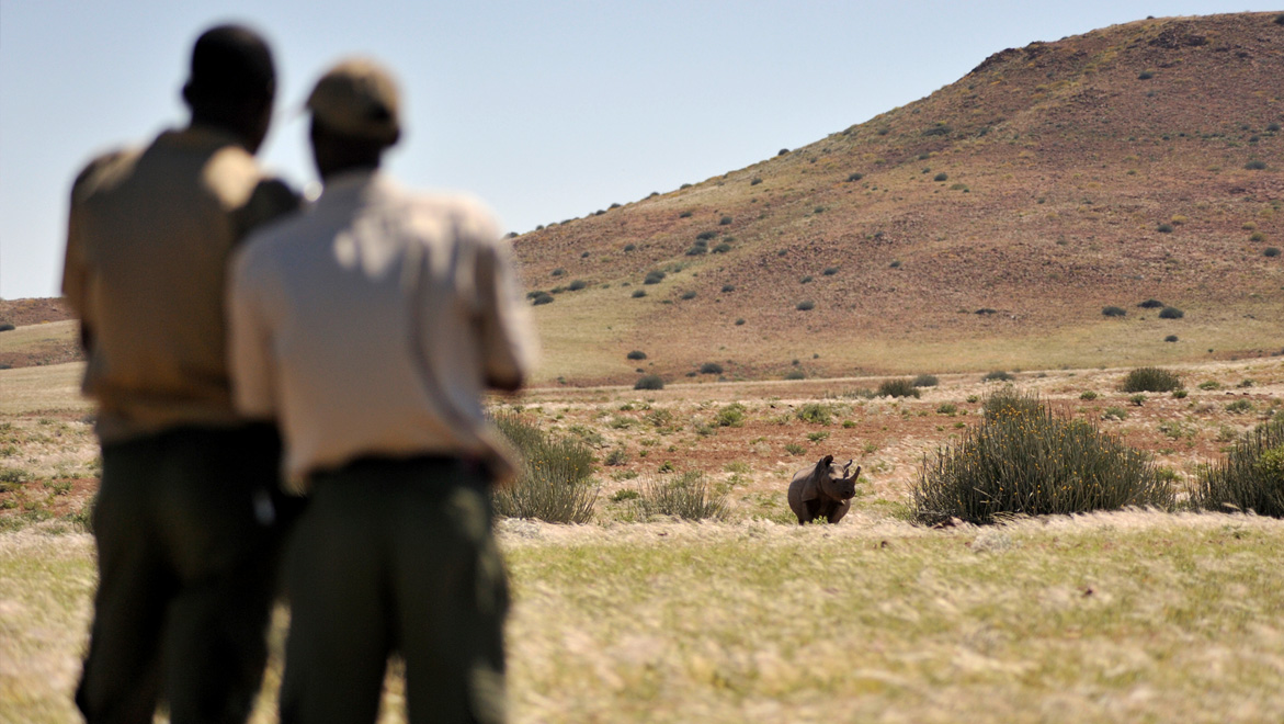Conservancy rhino rangers at work monitoring rhino. CSN guests get to track and follow rhino with a conservancy team